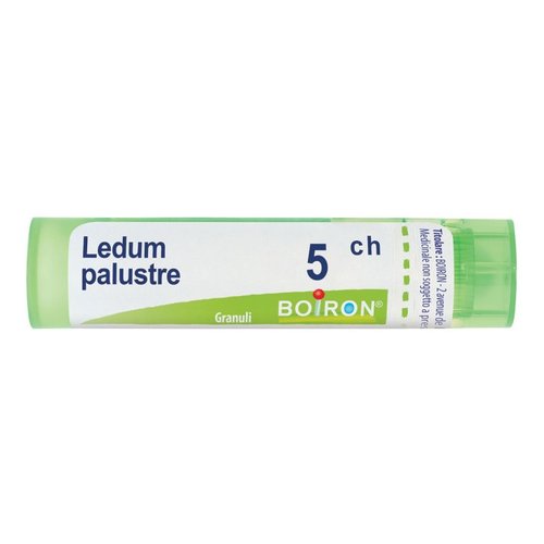 LEDUM PALUSTRE BOI*5CH GR 4G
