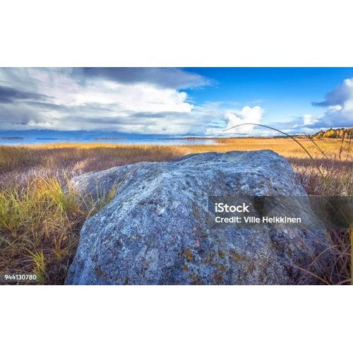 FARMA R BUSTA PORTA CORREDO5PZ