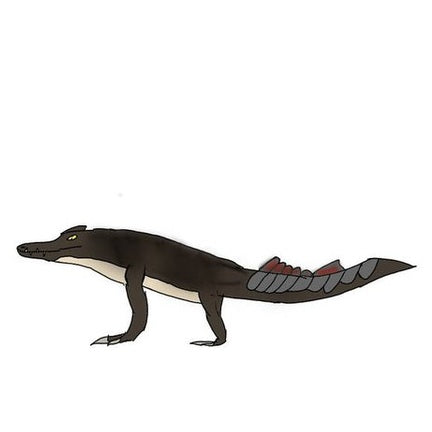 ORIONE 225 POL STEC NE M DX